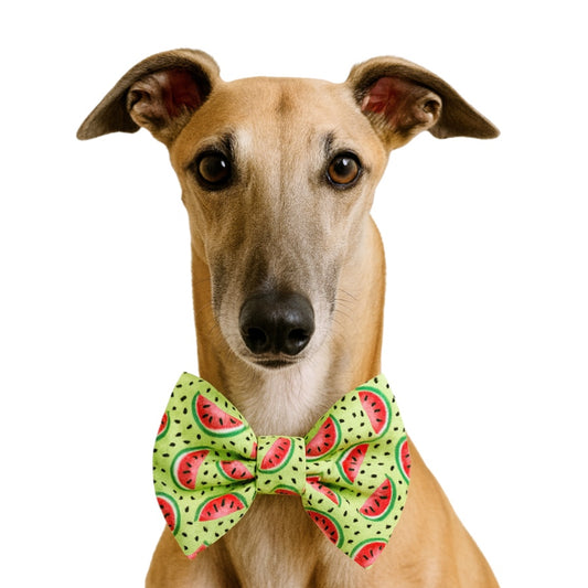 GREEN WATERMELON- DAPPER DEXTER DOG BOW TIE