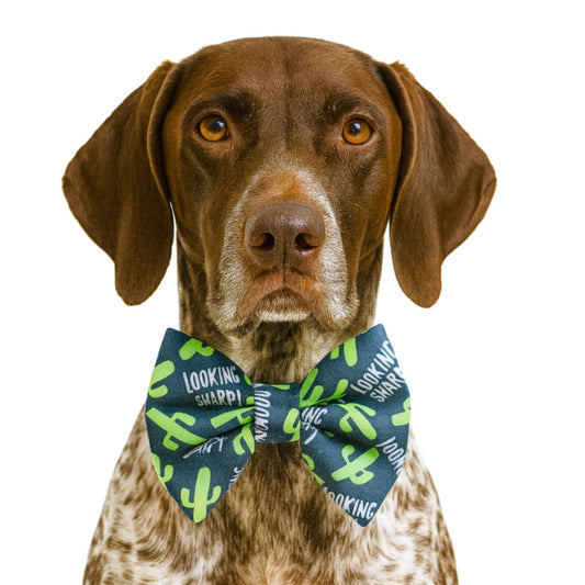 LOOKIN SHARP- DAPPER DEXTER DOG BOW TIE