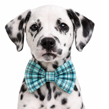 TEAL TARTAN PLAID - DAPPER DEXTER DOG BOW TIE
