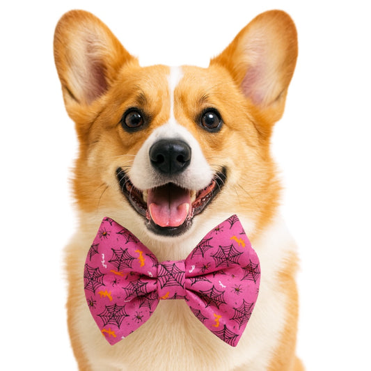 SPIDER WEB- DAPPER DEXTER DOG BOW TIE