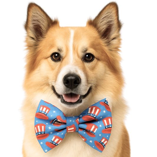 PATRIOTIC HATS - DAPPER DEXTER DOG BOW TIE