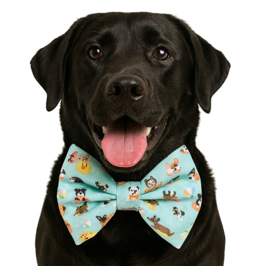 POOL FLOAT DOGS- DAPPER DEXTER DOG BOW TIE