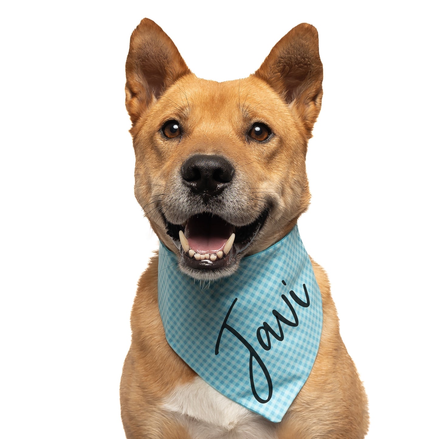 AQUA PLAID - CLASSIC DOG BANDANA