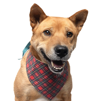 RED TARTAN PLAID -  CLASSIC DOG BANDANA