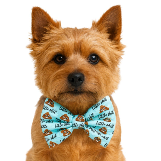 LITTLE SHIT - DAPPER DEXTER DOG BOW TIE