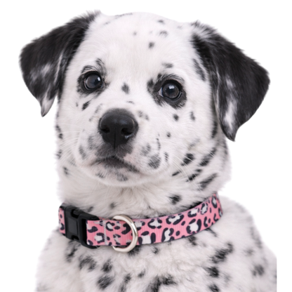 PINK ANIMAL PRINT - EXTRA SMALL COLLAR