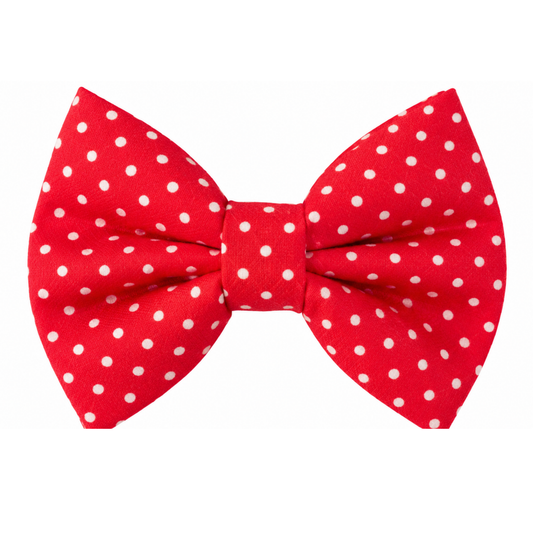 RED DOTS - DAPPER DEXTER DOG BOW TIE