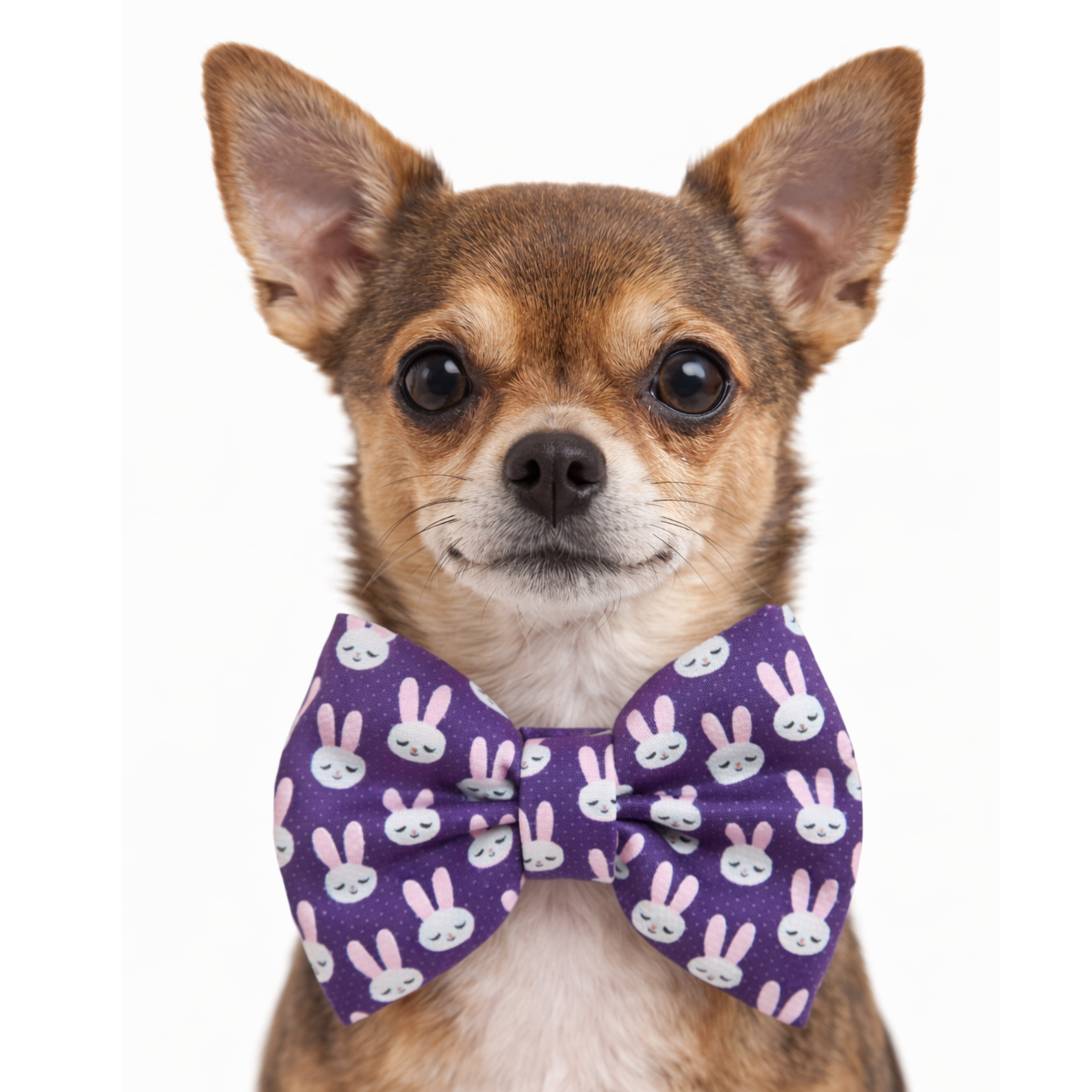 PURPLE BUNNIES - DAPPER DEXTER DOG BOW TIE