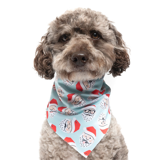 LIGHT BLUE SANTA - TRIANGLE DOG BANDANA BY DAPPER DEXTER