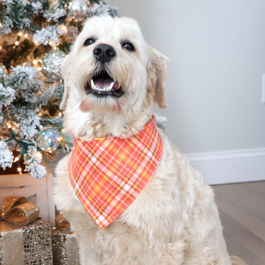 ORANGE PLAID -  CLASSIC DOG BANDANA