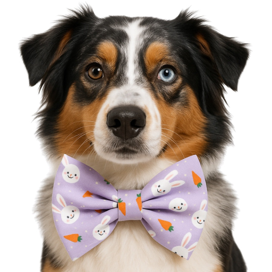 LAVENDER BUNNY- DAPPER DEXTER DOG BOW TIE