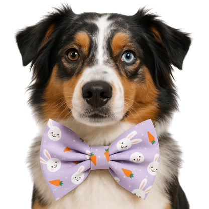 LAVENDER BUNNY- DAPPER DEXTER DOG BOW TIE