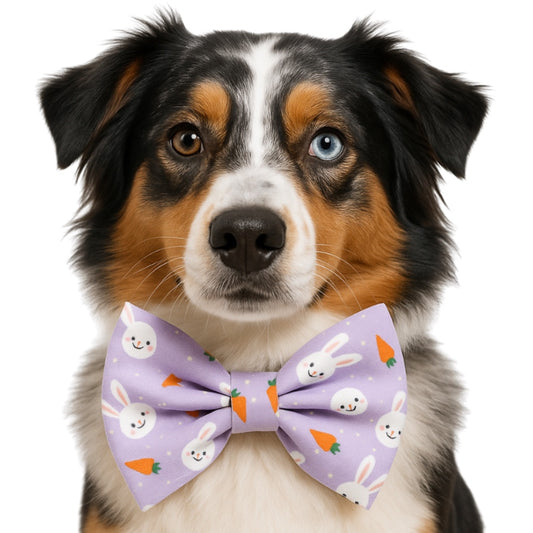 LAVENDER BUNNY- DAPPER DEXTER DOG BOW TIE