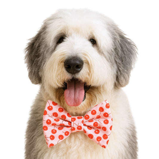 CHERRIES - DAPPER DEXTER DOG BOW TIE
