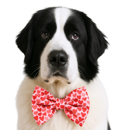 METALLIC RED HEARTS - DAPPER DEXTER DOG BOW TIE