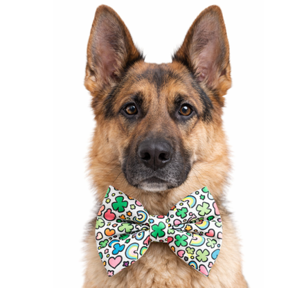 LUCKY CHARM MELLOWS  - DAPPER DEXTER DOG BOW TIE