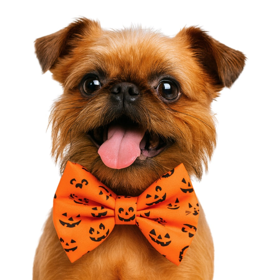 PUMPKIN FACES- DAPPER DEXTER DOG BOW TIE
