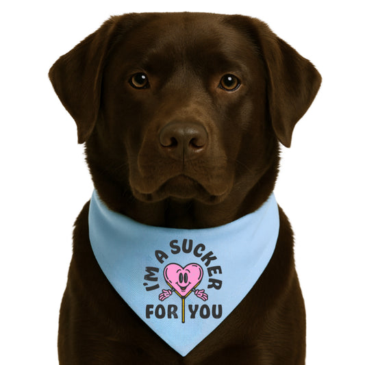 SUCKER FOR YOU- CLASSIC DOG BANDANA