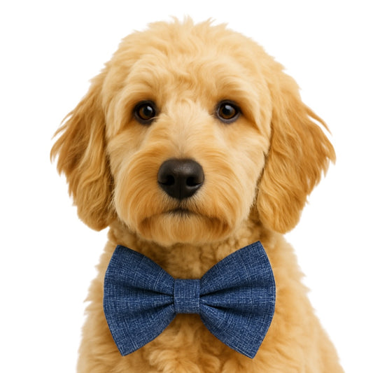 NAVY - DAPPER DEXTER DOG BOW TIE