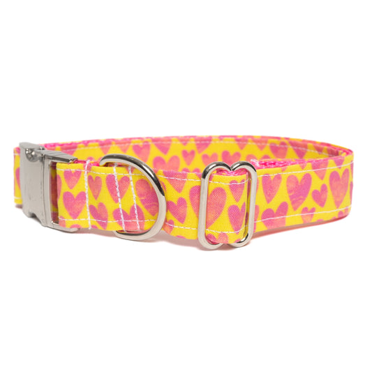 NEON LOVE - DOG COLLAR