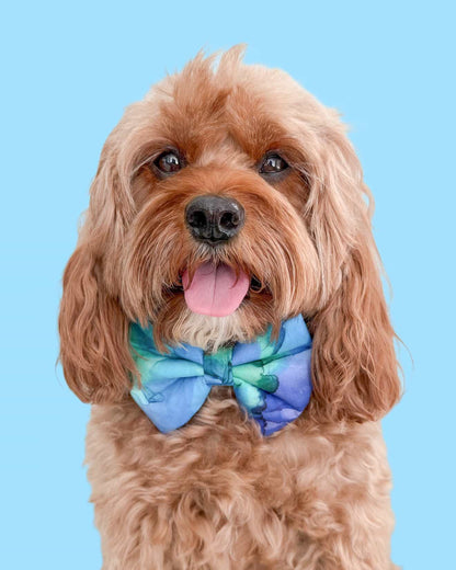 BLUE & GREEN WATERCOLOR - DAPPER DEXTER DOG BOW TIE