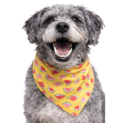 MELONS - CLASSIC DOG BANDANA