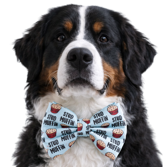 STUD MUFFIN2 - DAPPER DEXTER DOG BOW TIE
