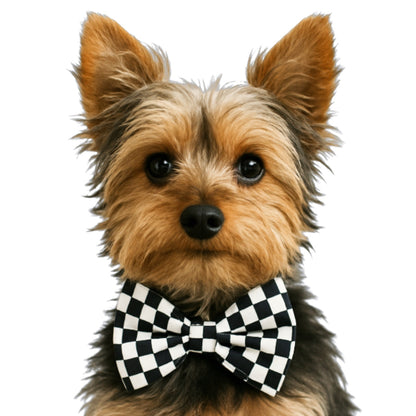 BLACK & WHITE CHECKERED - DAPPER DEXTER DOG BOW TIE