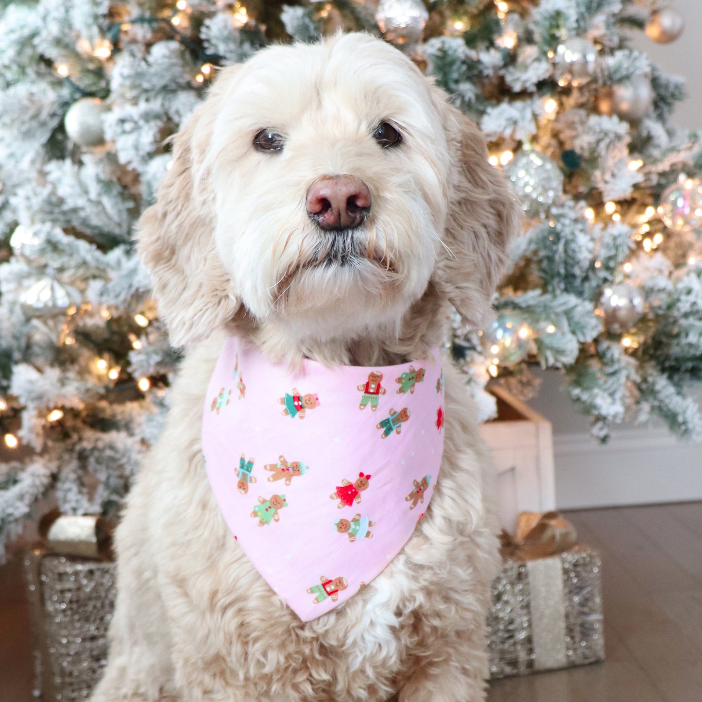 BLUSH PINK GINGERBREAD -  CLASSIC DOG BANDANA