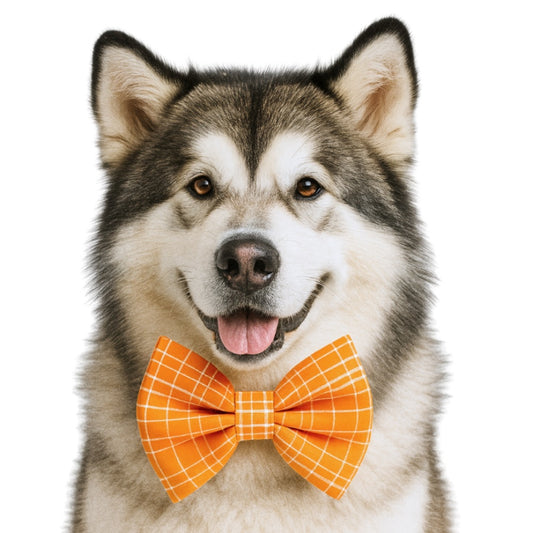 ORANGE PLAID LINEN- DAPPER DEXTER DOG BOW TIE