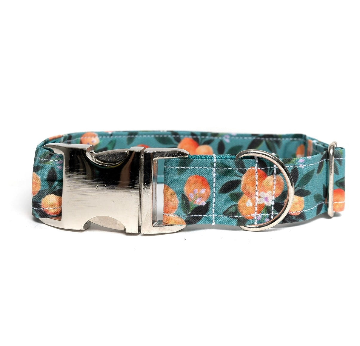 ORANGES - DOG COLLAR