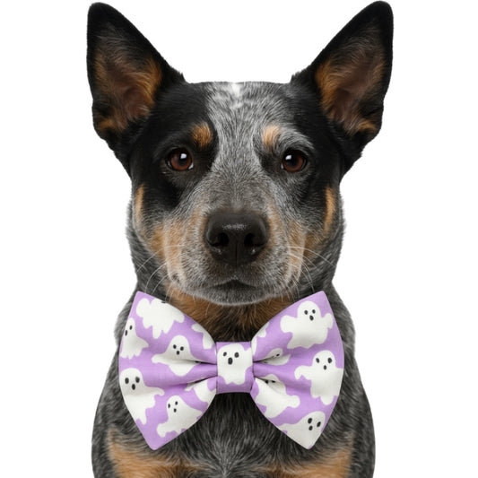 PURPLE GHOSTS- DAPPER DEXTER DOG BOW TIE
