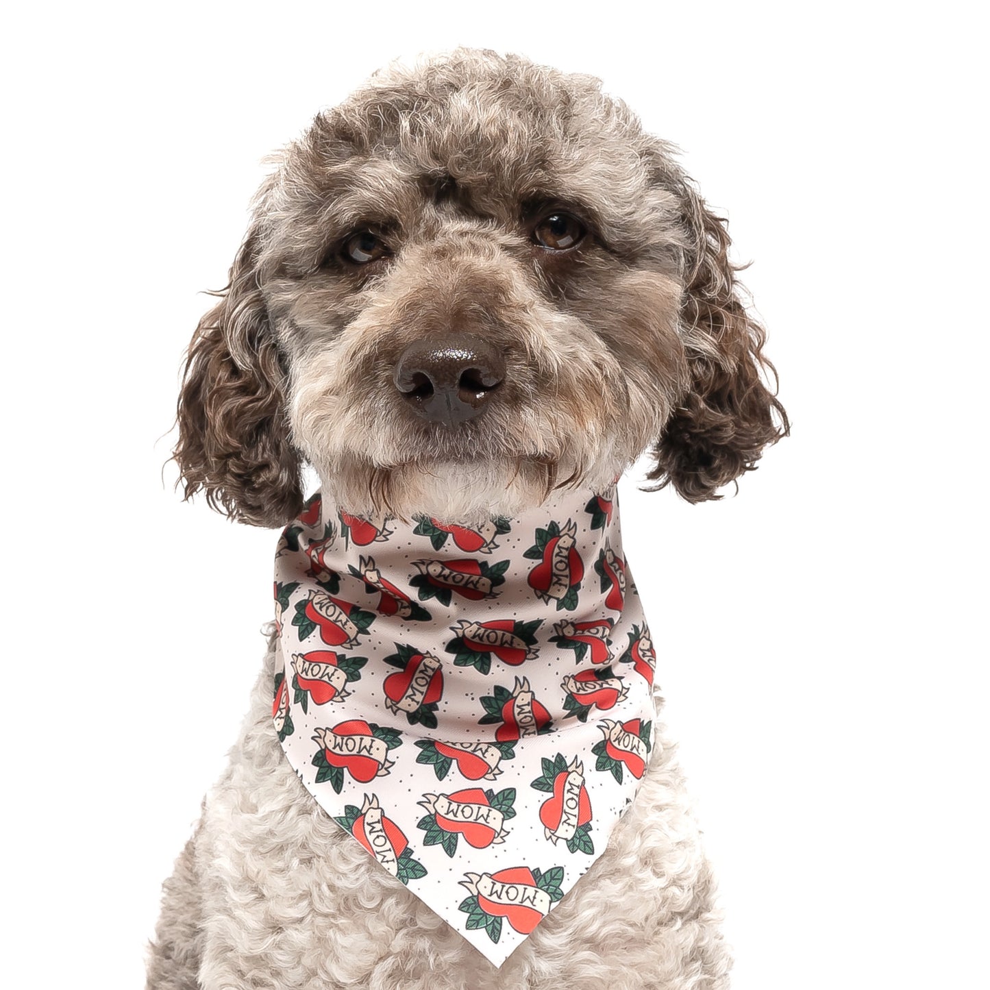 MOM - TRIANGLE DOG BANDANA BY DAPPER DEXTER