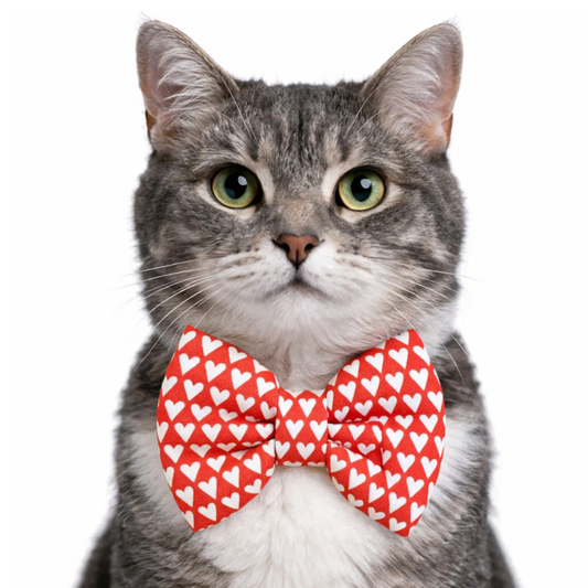 RED WITH WHITE HEARTS - CAT BOW TIE