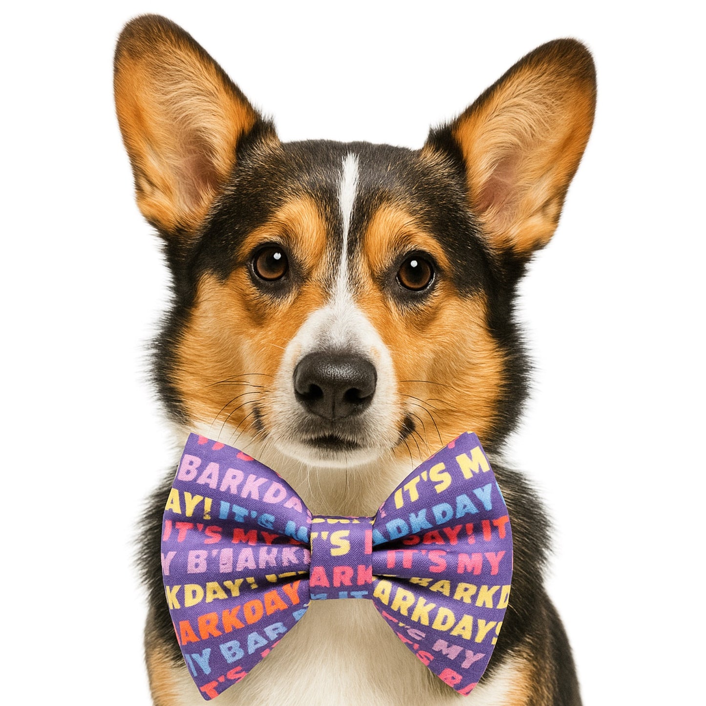 IT'S MY BARKDAY - DAPPER DEXTER DOG BOW TIE