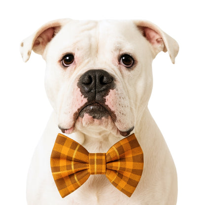 HARVEST W/ GOLD PLAID - DAPPER DEXTER DOG BOW TIE