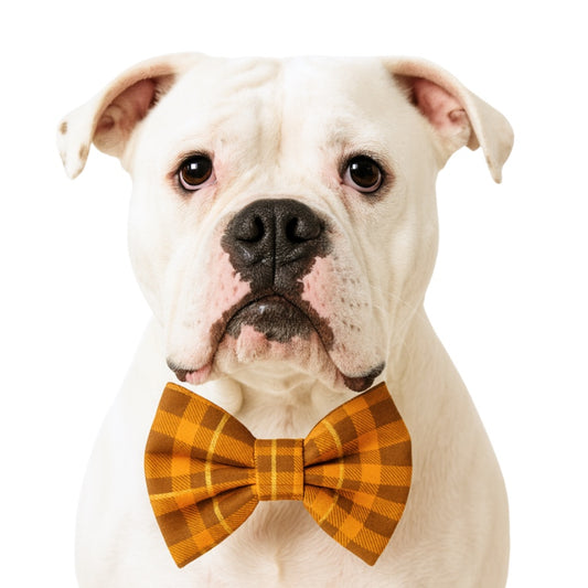 HARVEST W/ GOLD PLAID - DAPPER DEXTER DOG BOW TIE