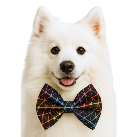 BLACK RAINBOW GRID- DAPPER DEXTER DOG BOW TIE