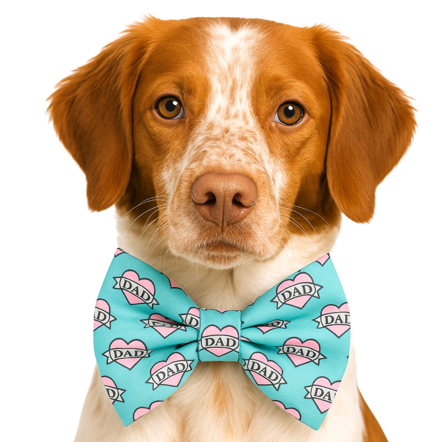 DAD - DAPPER DEXTER DOG BOW TIE