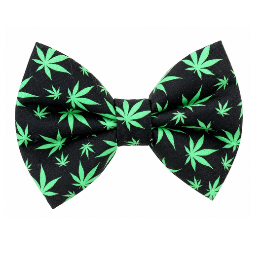 HERBAL420 DESIGN - DAPPER DEXTER DOG BOW TIE