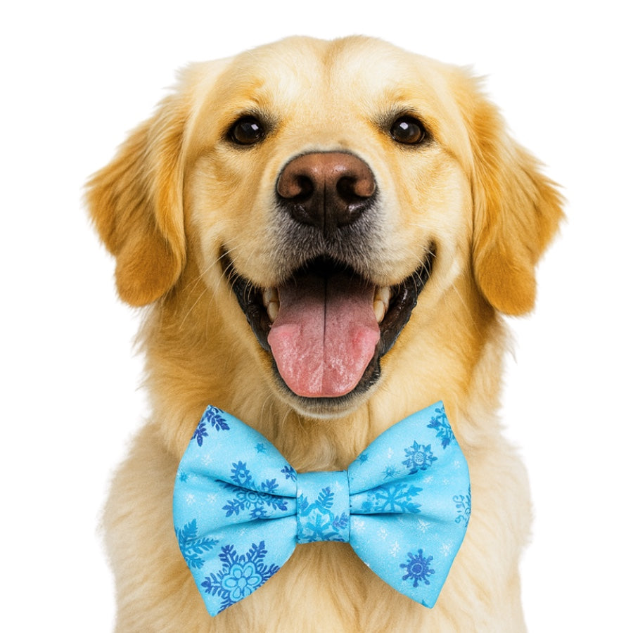 SNOWFLAKE ❄️ - DAPPER DEXTER DOG BOW TIE