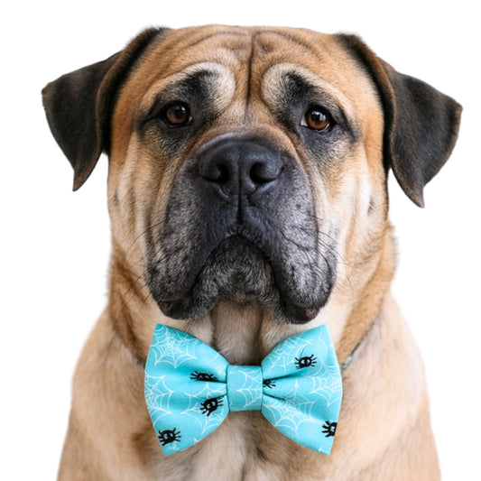 SPIDER - DAPPER DEXTER DOG BOW TIE