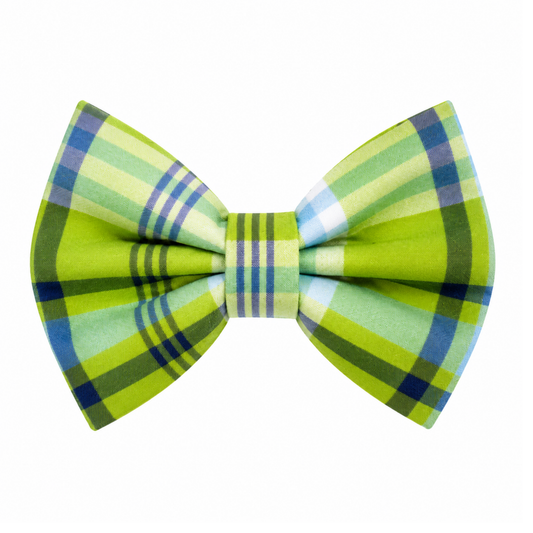 LIME W/ BLUE PLAID  - DAPPER DEXTER DOG BOW TIE