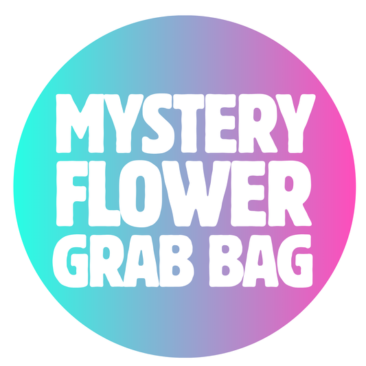 MYSTERY FLOWER GRAB BAG