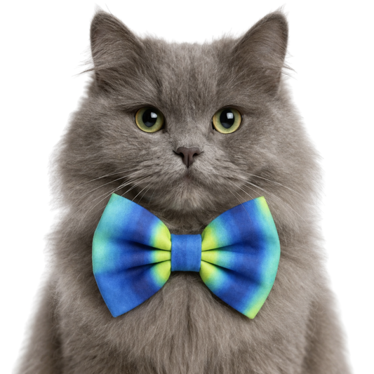 BLUE AND LIME OMBRE- CAT BOW TIE