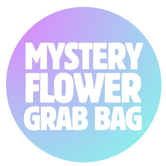 MYSTERY FLOWER GRAB BAG