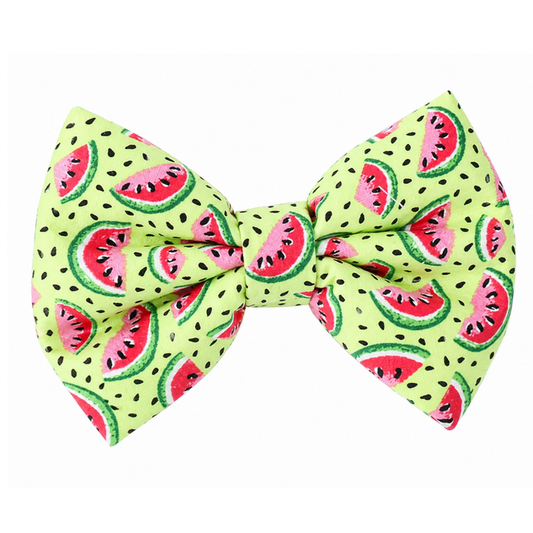 GREEN WATERMELON- DAPPER DEXTER DOG BOW TIE