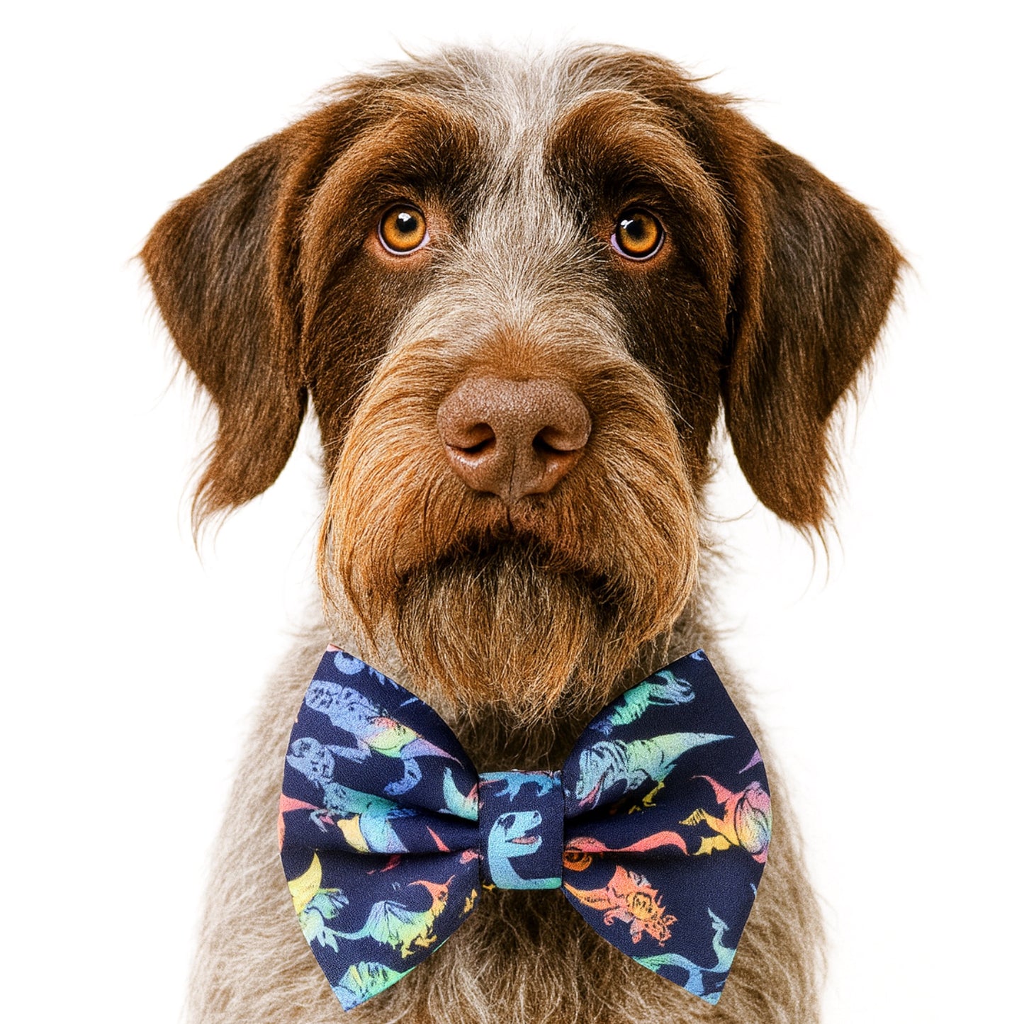 DINOS ON NAVY - DAPPER DEXTER DOG BOW TIE