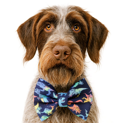 DINOS ON NAVY - DAPPER DEXTER DOG BOW TIE