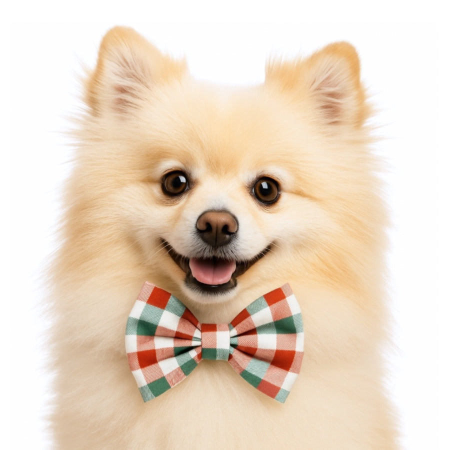 CHRISTMAS PLAID  - DAPPER DEXTER DOG BOW TIE